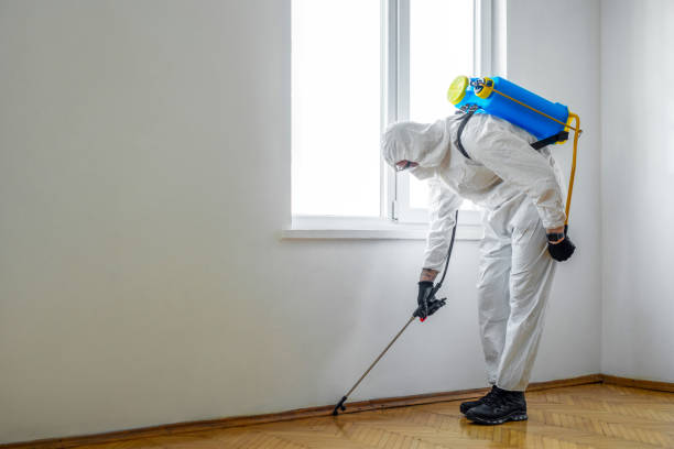 Reliable Carrollton, AL Pest Control Solutions